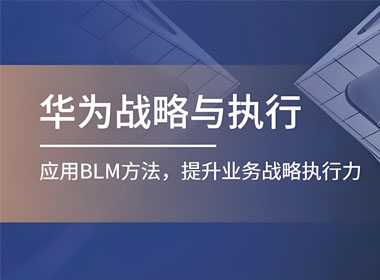 華為業務領先戰略模型BLM 